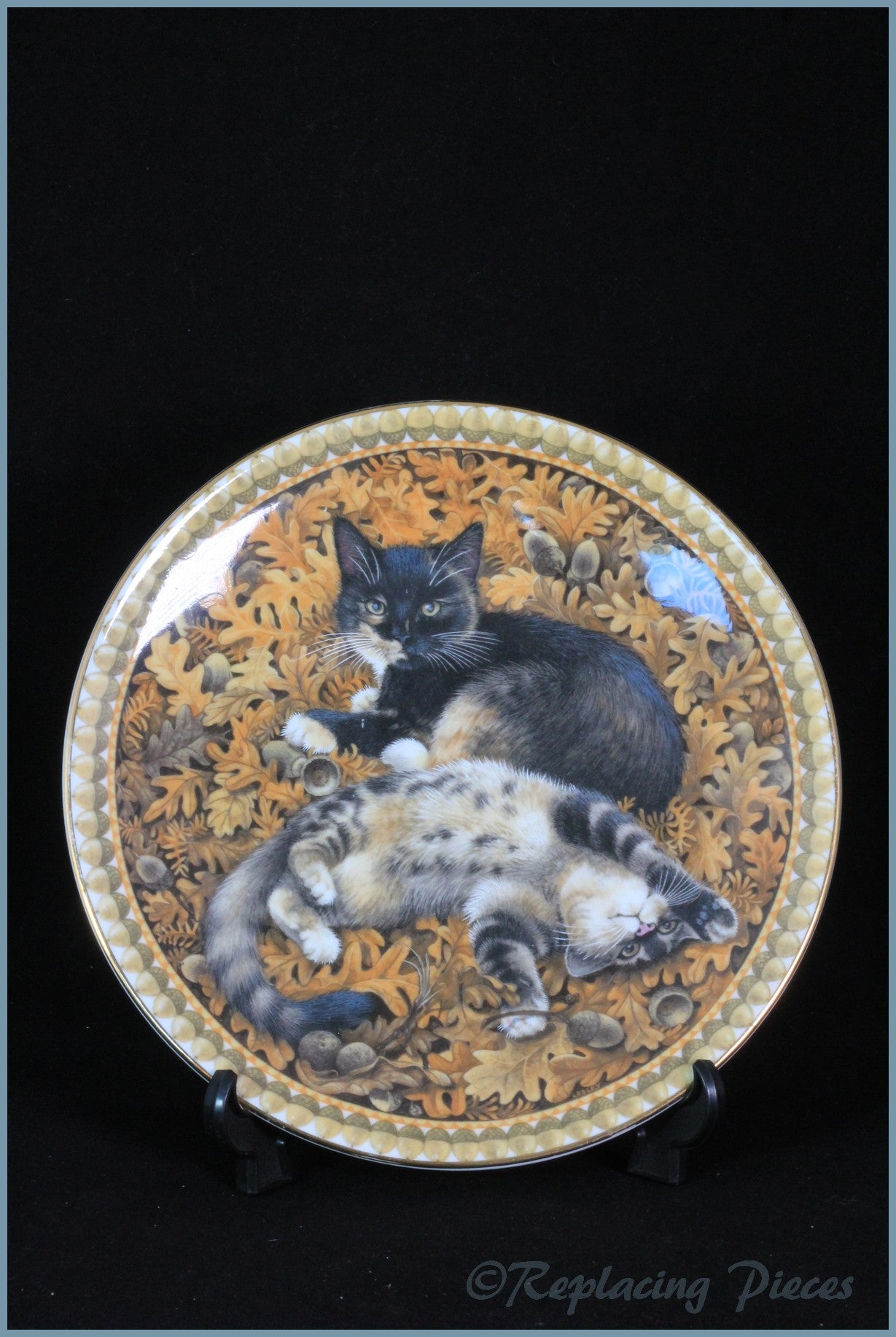 Replacement Aynsley China Meet My Kittens Collector Plates