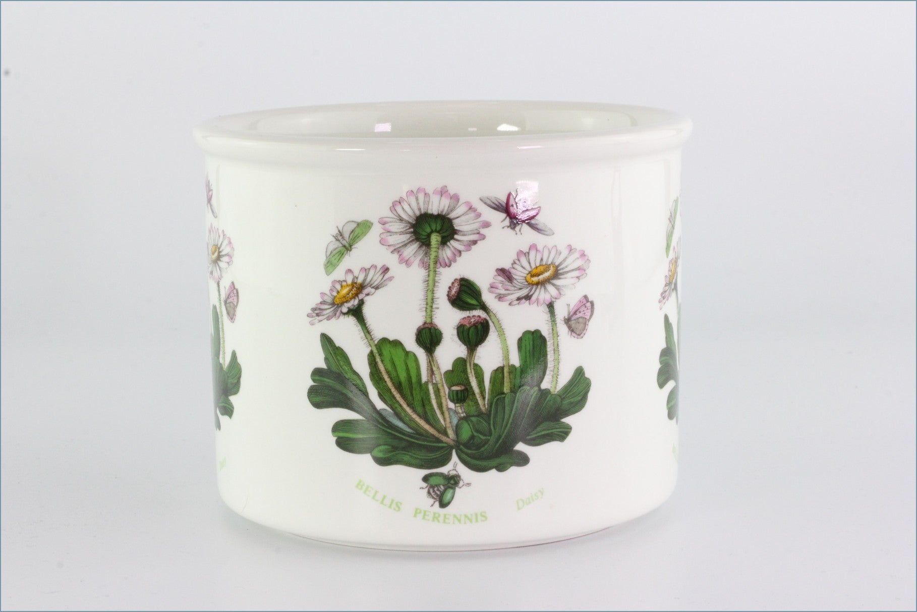 botanic garden plant pots Portmeirion - Botanic Garden