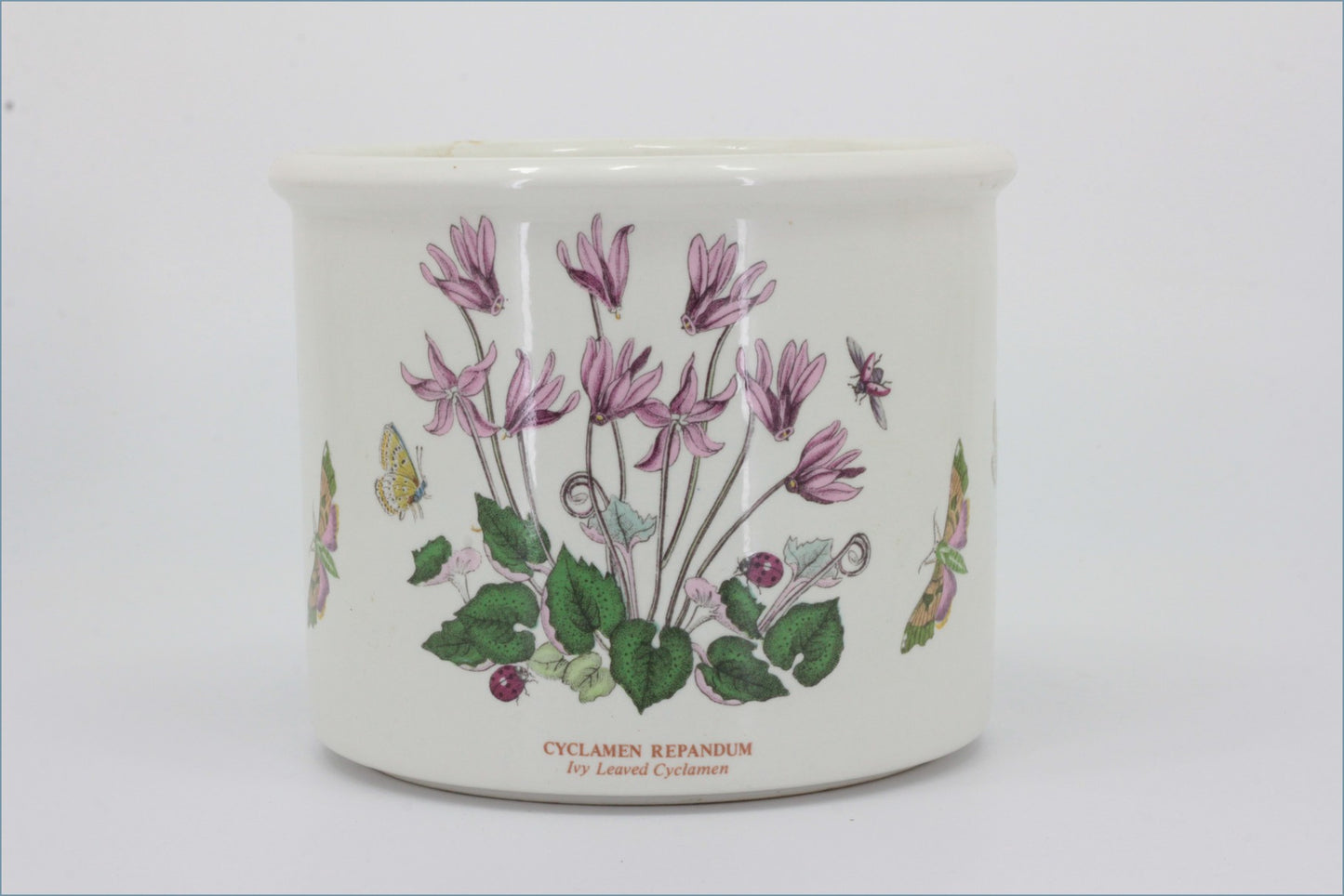 Portmeirion - Botanic Garden - Plant Pot (Cyclamen)