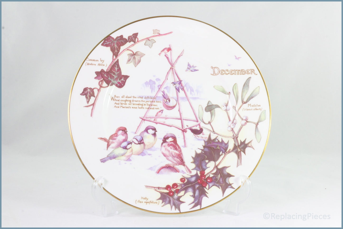 Caverswall - Country Diary Of An Edwardian Lady - December