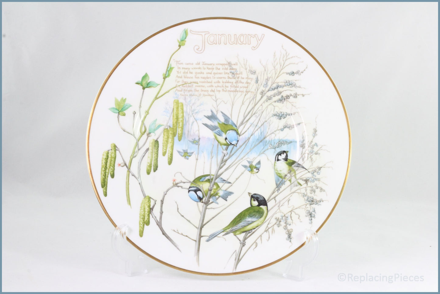 Caverswall - Country Diary Of An Edwardian Lady - January