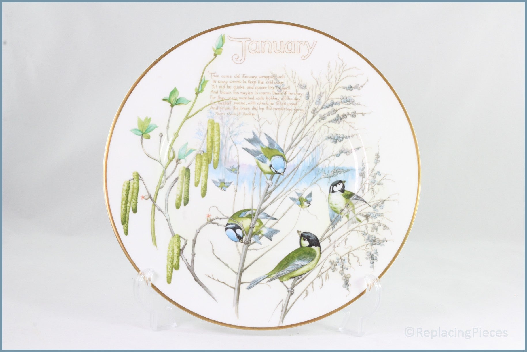 Caverswall - Country Diary Of An Edwardian Lady - January