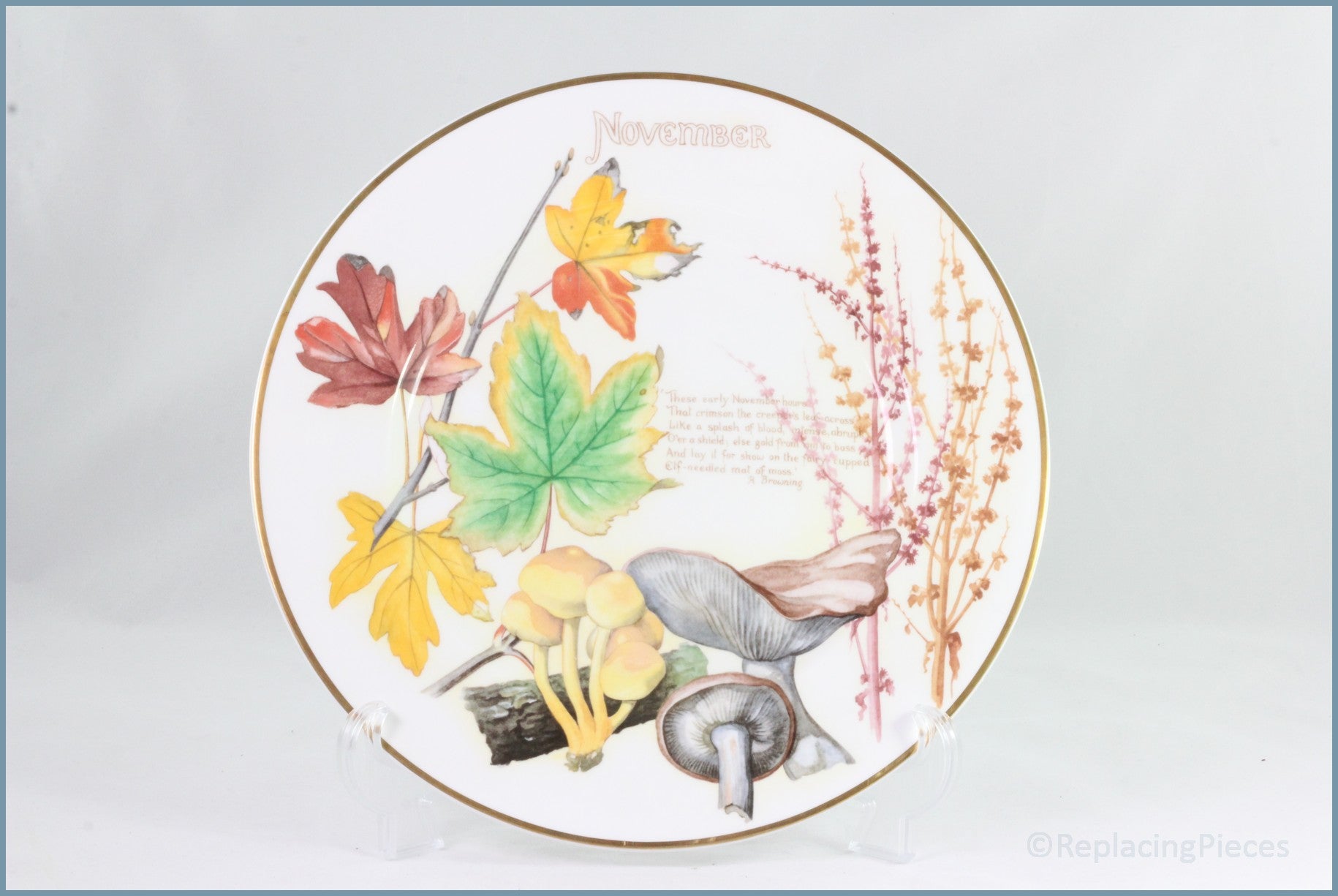 Caverswall - Country Diary Of An Edwardian Lady - November