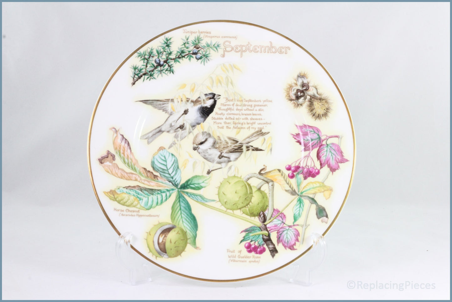 Caverswall - Country Diary Of An Edwardian Lady - September