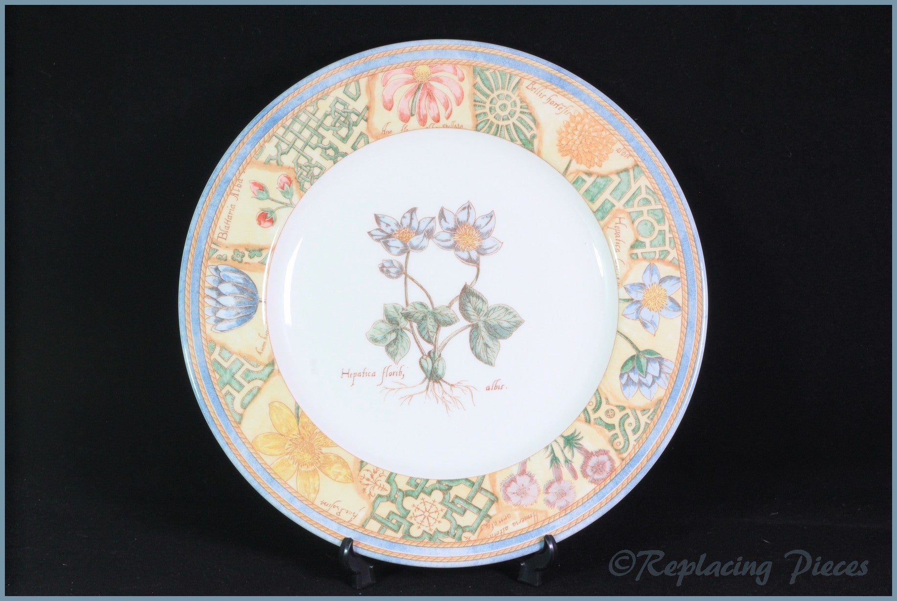 Wedgwood - Garden Maze - Dinner Plate