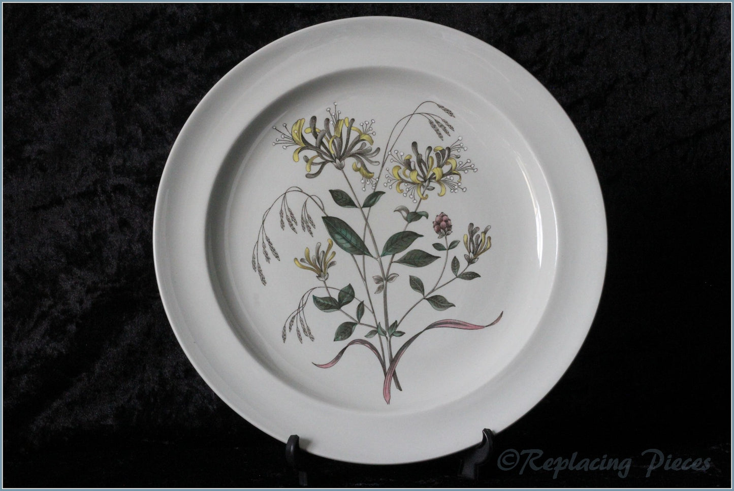 Wedgwood - Country Lane - Dinner Plate