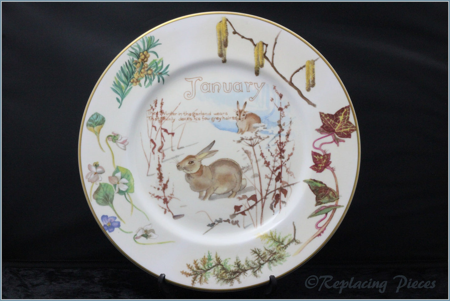 Caverswall - Nature Notes Of An Edwardian Lady - January