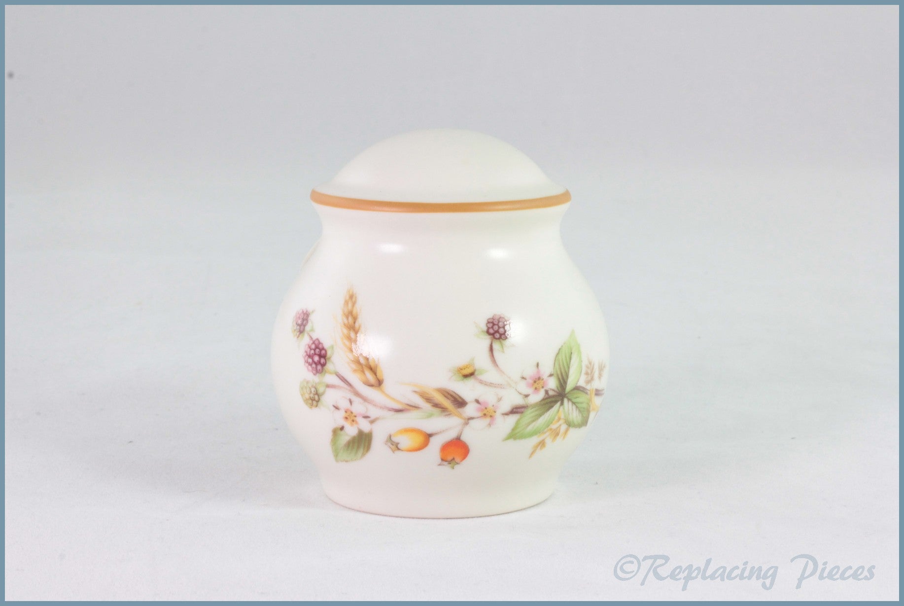 Marks & Spencer - Harvest - Salt Pot (New Style)