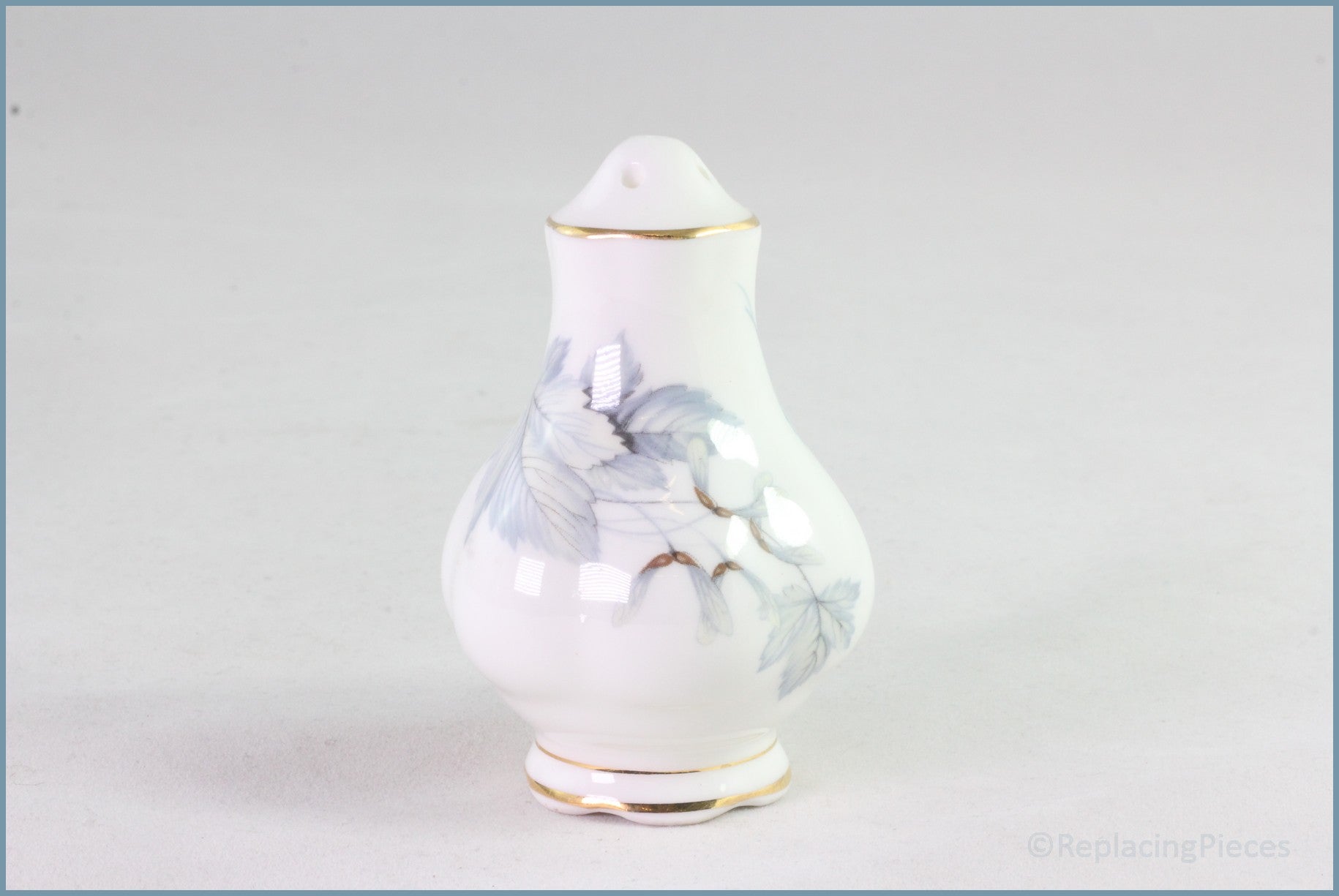 Royal Albert - Silver Maple - Salt Pot