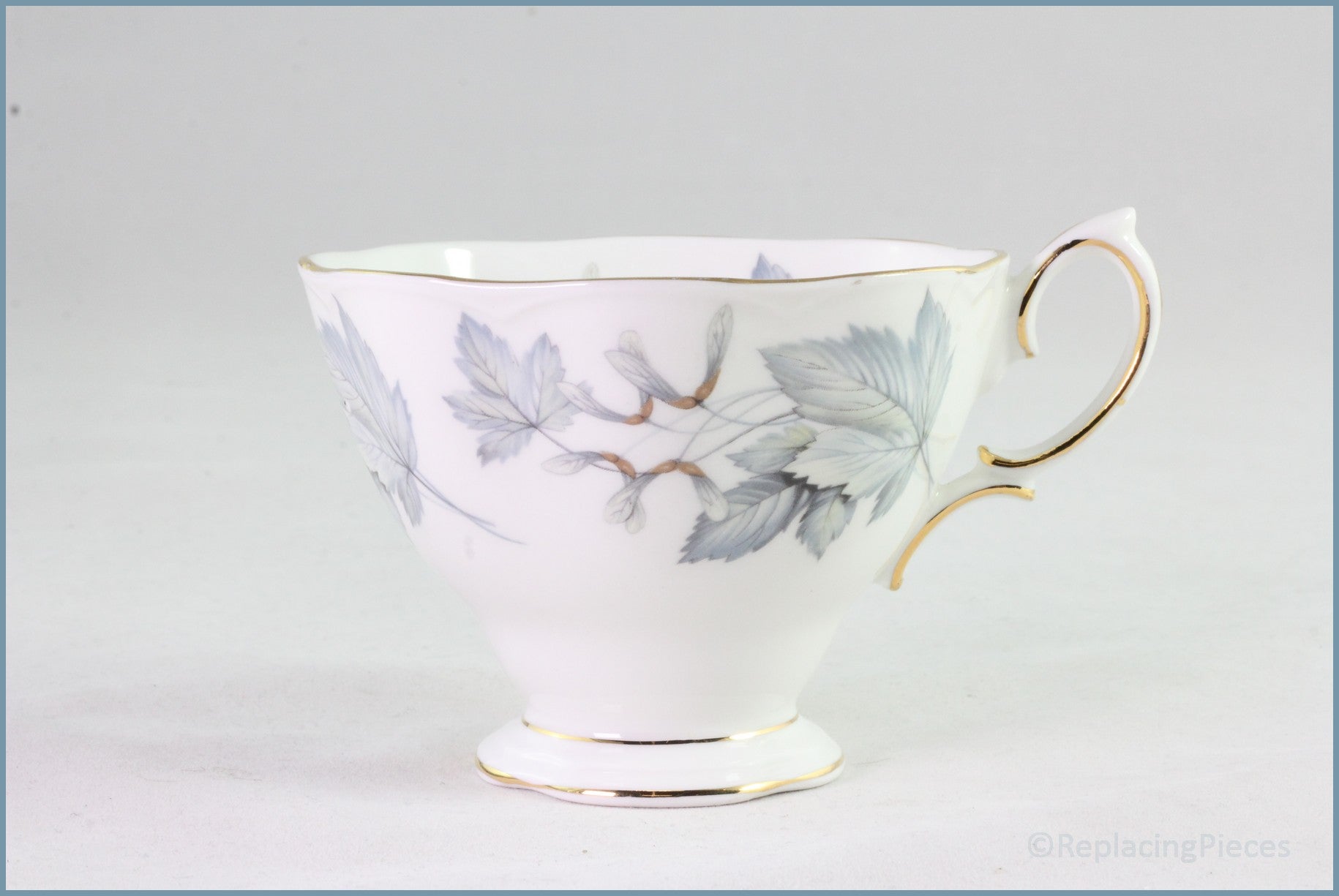 Royal Albert - Silver Maple - Teacup