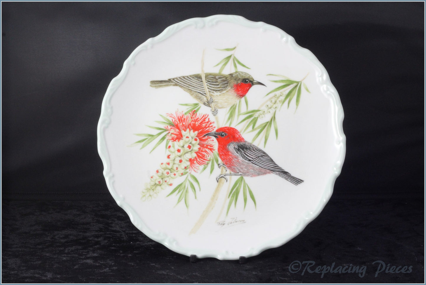Royal Albert - Birds Of The World (Australian Birds) - Scarlet Honeyeater