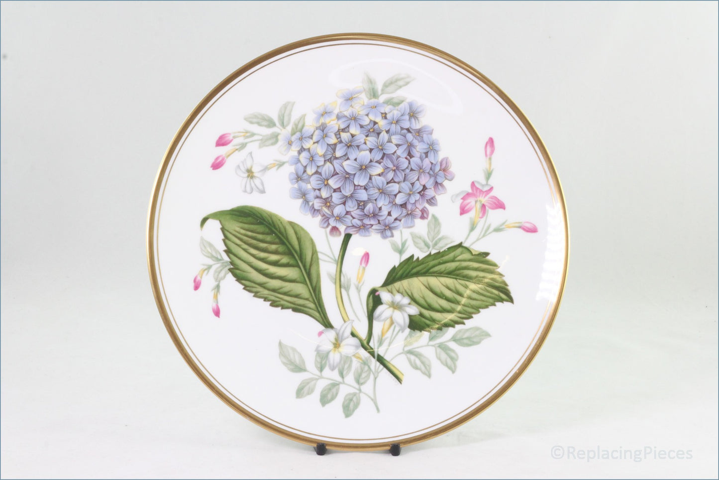 Spode - Garden Flowers - Hydrangea And Winter Jasmine