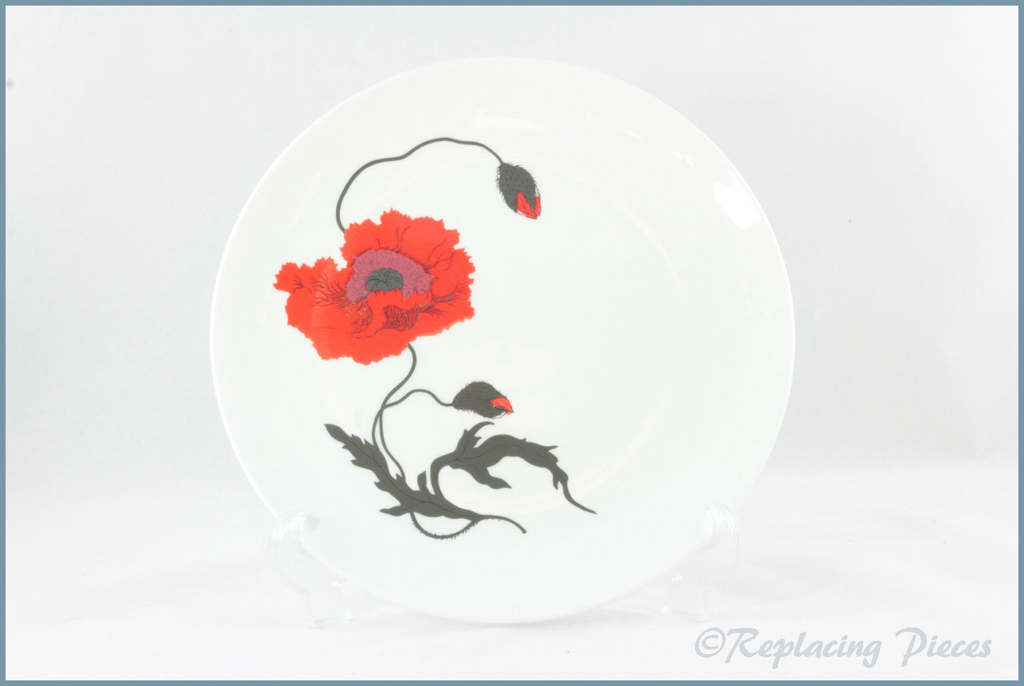 Wedgwood (Susie Cooper) - Cornpoppy - Dinner Plate