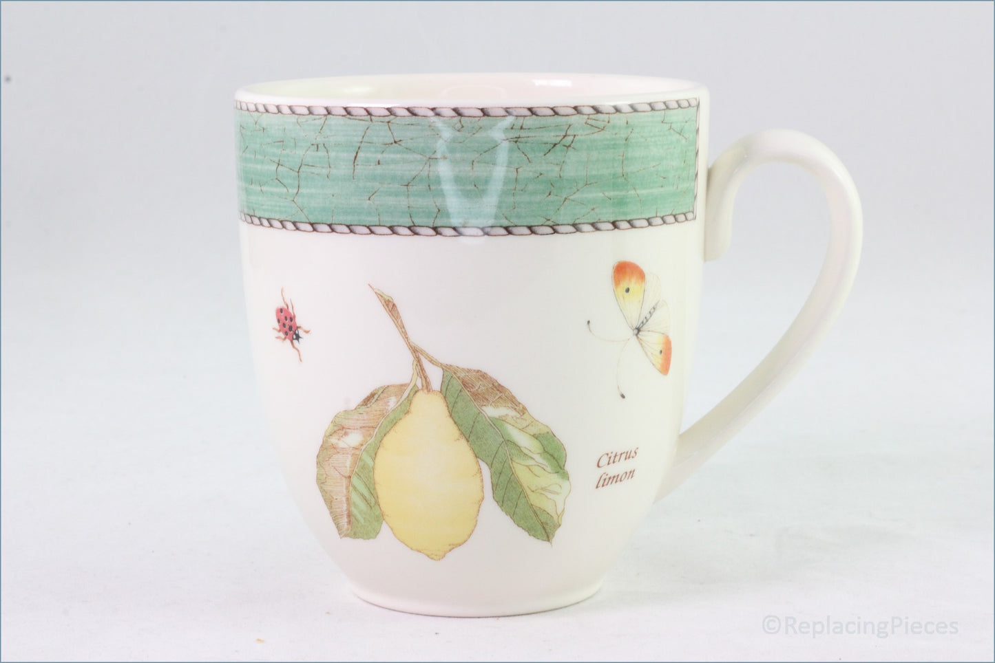 Wedgwood - Sarahs Garden - Mug (Green)