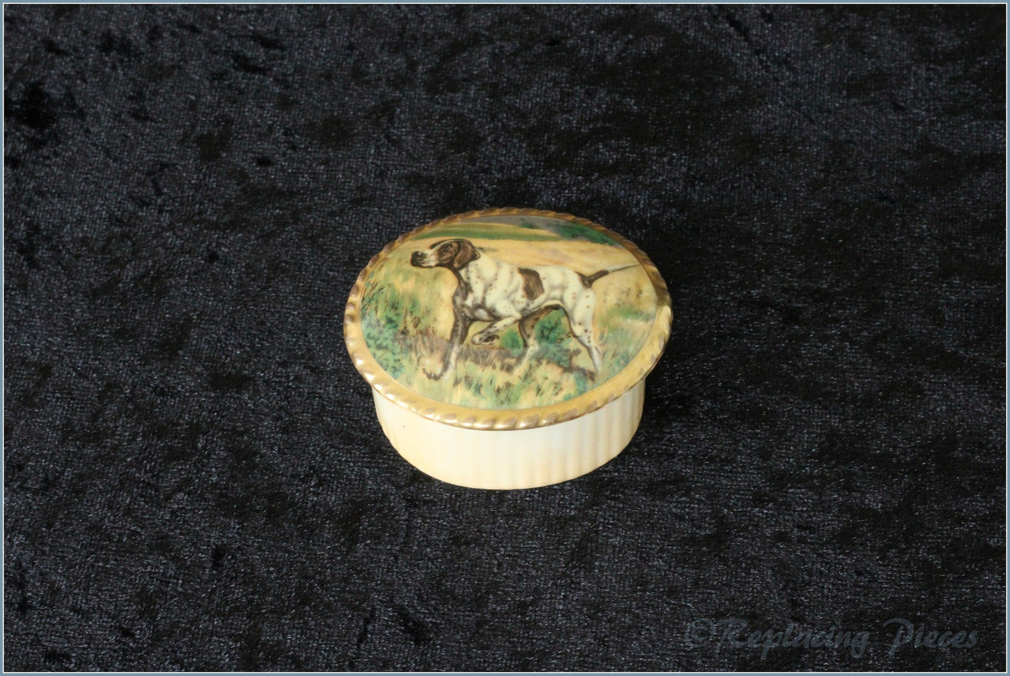 Aynsley - Miniature Lidded Box - Pointer