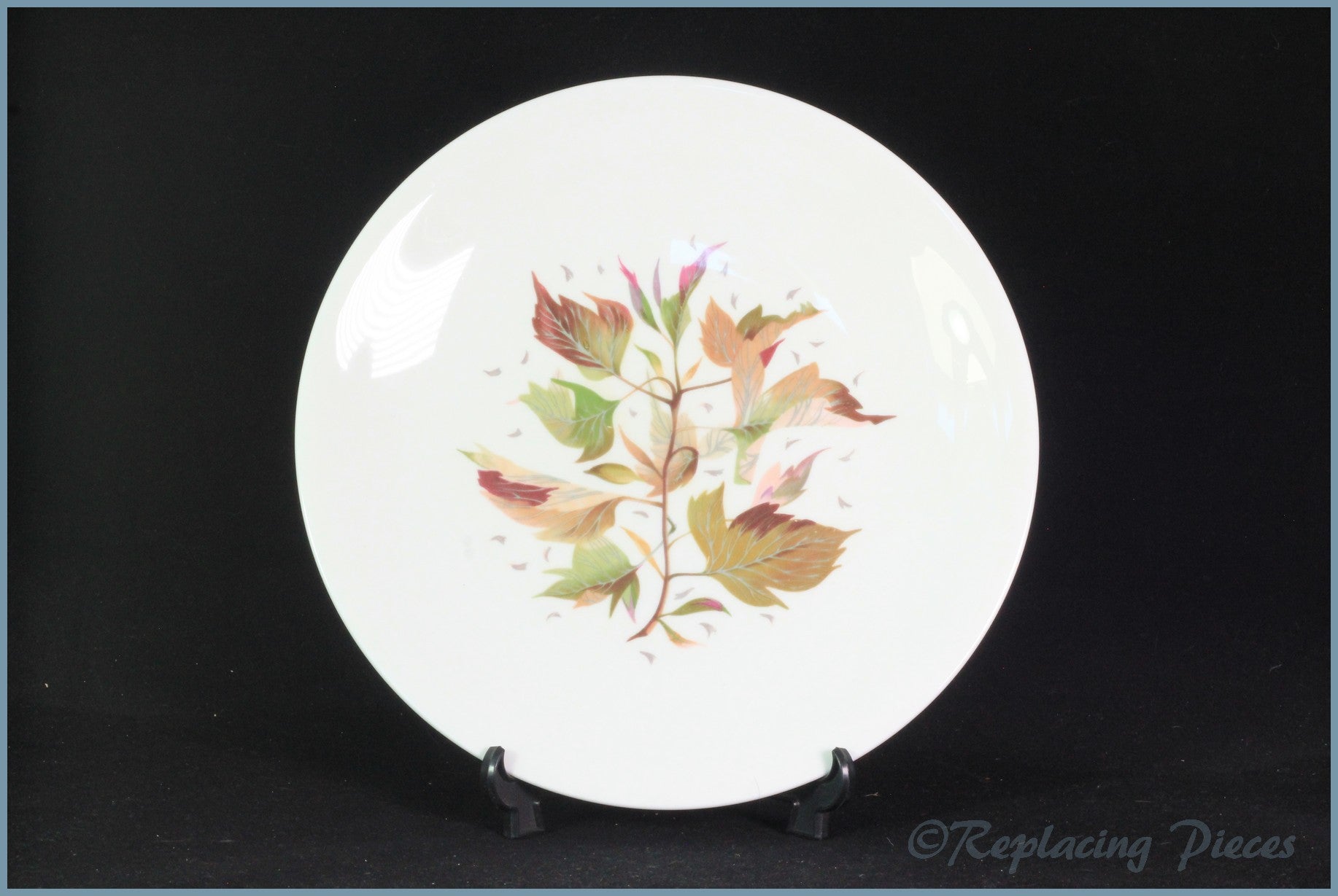Wedgwood - Wakefield - 9" Luncheon Plate