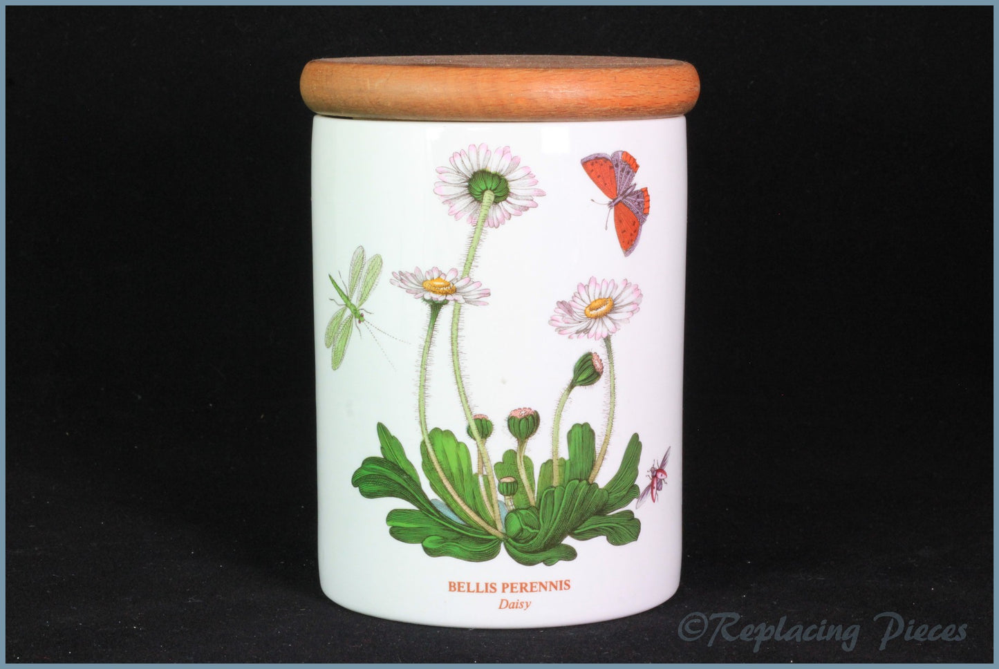 Portmerion - Botanic Garden - 5 1/2" Tall Storage Jar (Daisy)