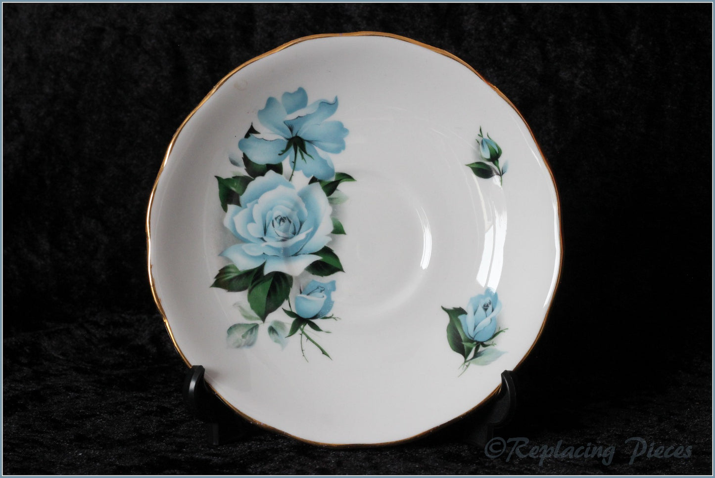 Queen Anne - 8282 (Blue Rose) - Tea Saucer