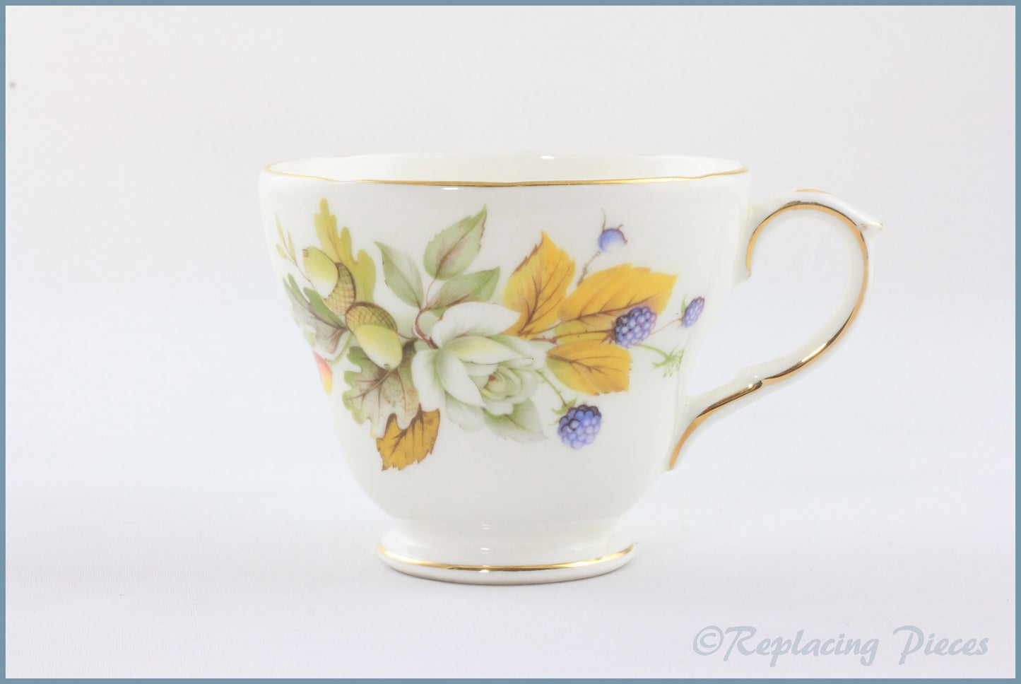 Duchess - Autumn - Teacup