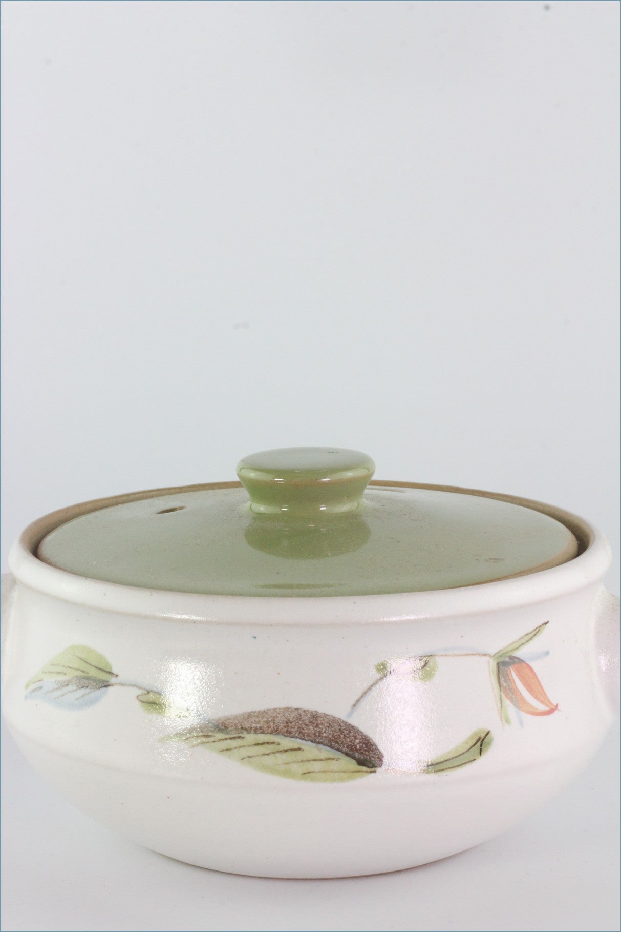 Replacement Denby Pottery Spring ReplacingPieces