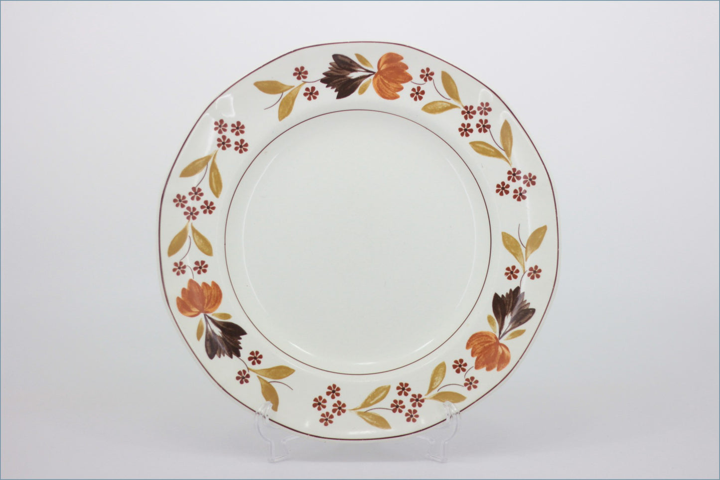 Adams - Goldenvale - 8 7/8" Luncheon Plate
