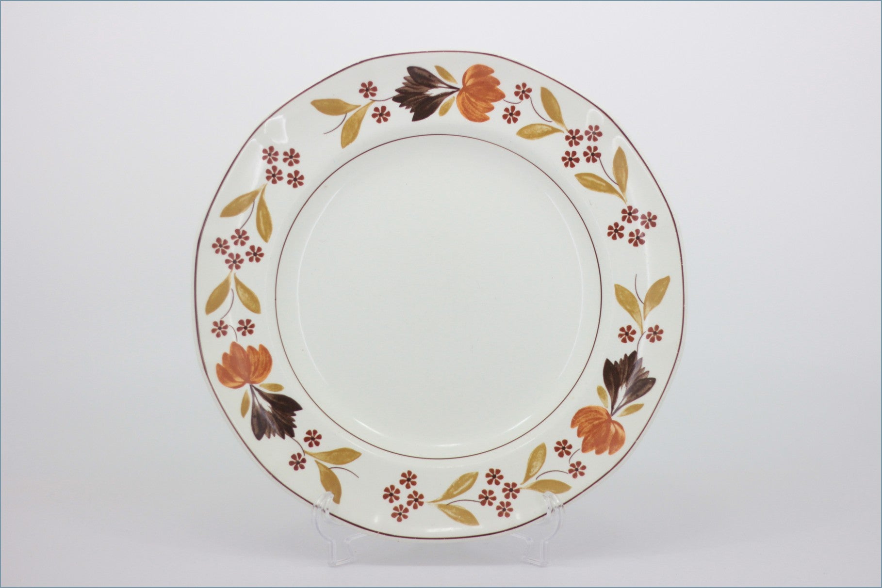 Adams - Goldenvale - 8 7/8" Luncheon Plate