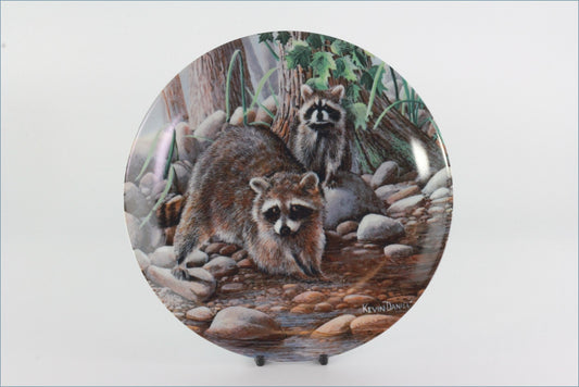 Knowles - Friends Of The Forest - The Raccoon (no.2)