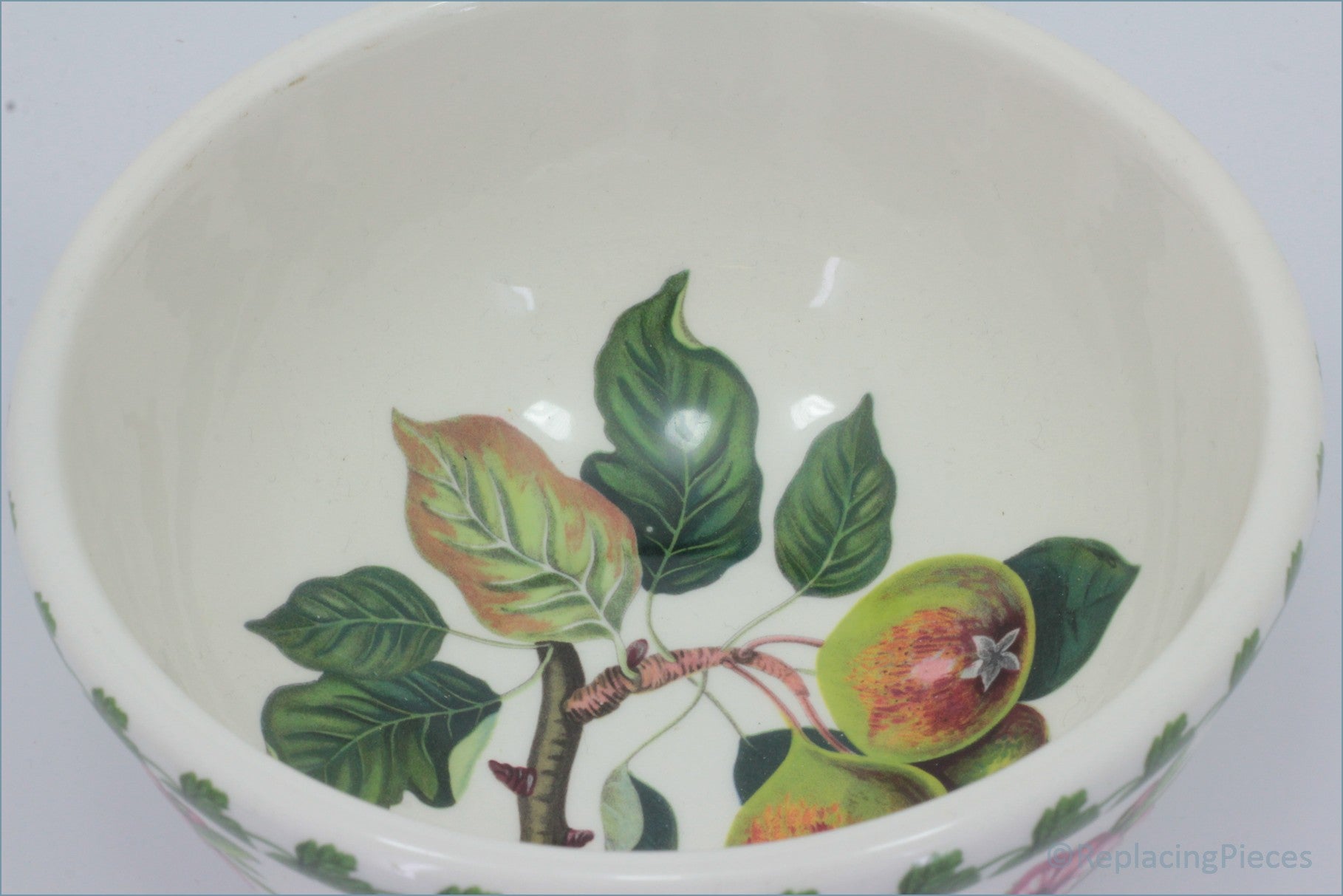 Ceramic bowl with fruit and leaf design on a plain background - Portmeirion - Pomona - 5 1/2" Cereal Bowl (The Teignton Squash Pear)