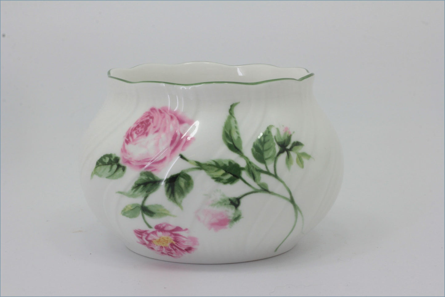 Rosina - Mottisfont Roses - Sugar Bowl