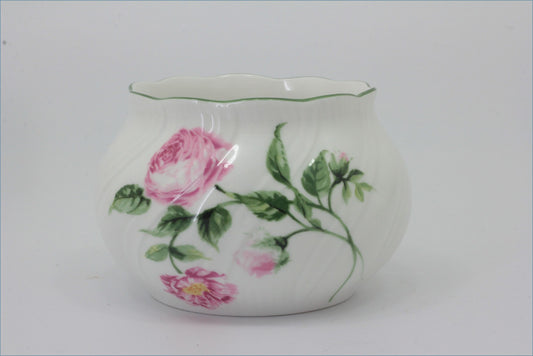Rosina - Mottisfont Roses - Sugar Bowl