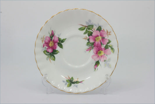 Royal Albert - Prairie Rose - Tea Saucer