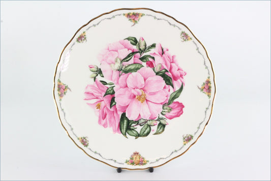 Royal Albert - The Queen Mothers Favourite Flowers - Camellia (no.4)