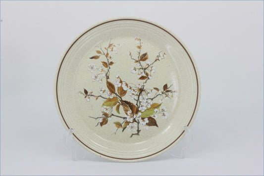 Royal Doulton - Wild Cherry (LS1038) - 9 3/4" Luncheon Plate