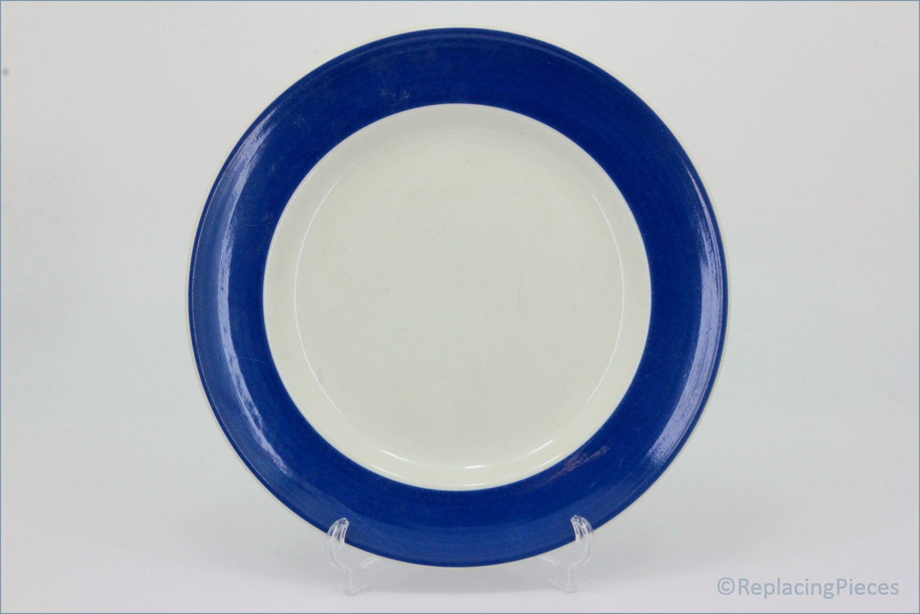 T G Green - Jersey Blue - 9 1/8" Luncheon Plate