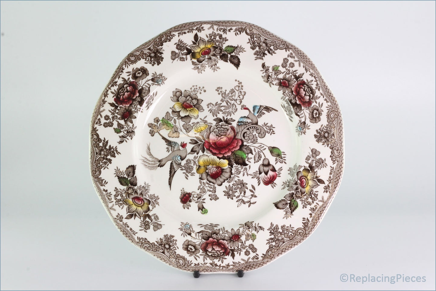 Wedgwood - Asiatic Pheasant - Dinner Plate