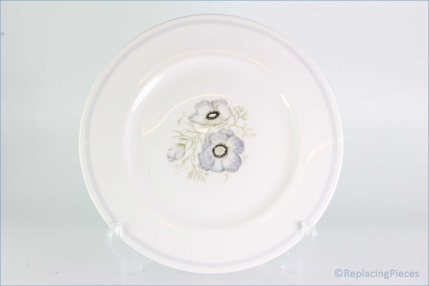 Wedgwood - Glen Mist - Dinner Plate