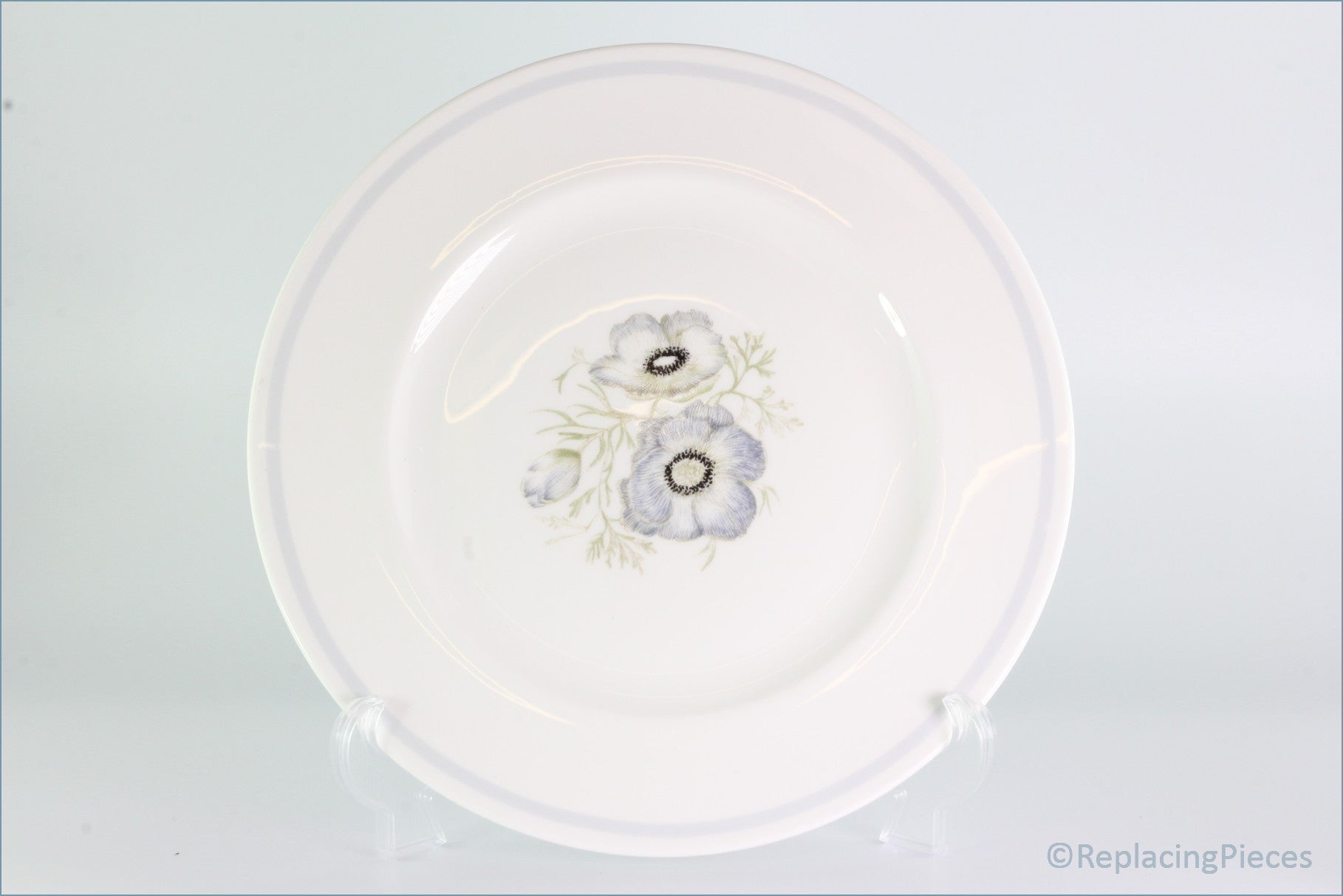 Wedgwood - Glen Mist - Dinner Plate