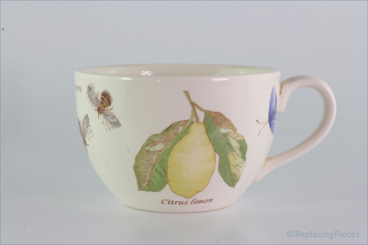 Wedgwood - Sarahs Garden - Breakfast Cup