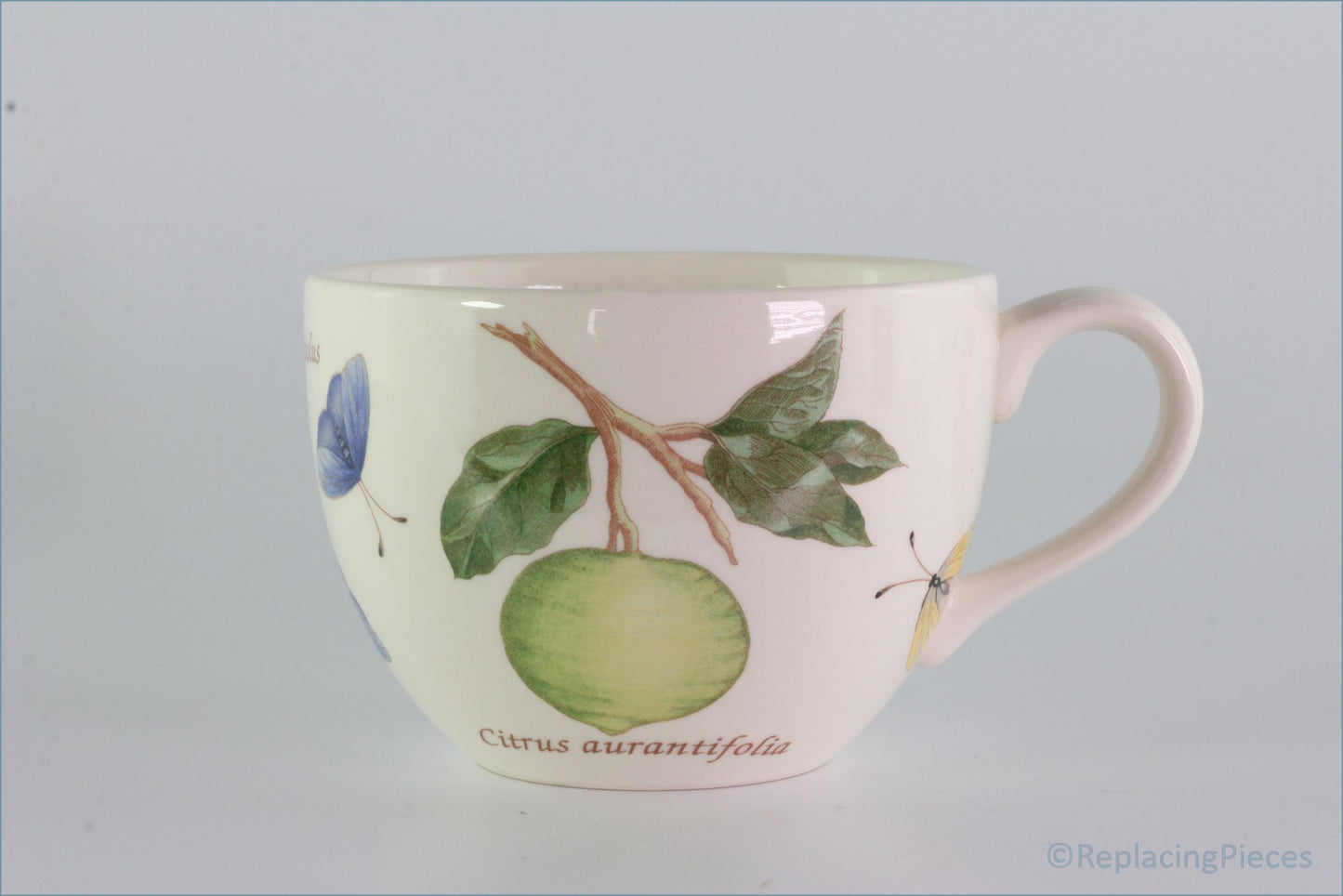 Wedgwood - Sarahs Garden - Teacup