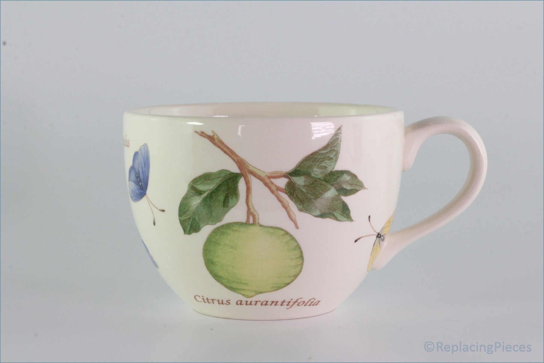 Wedgwood - Sarahs Garden - Teacup