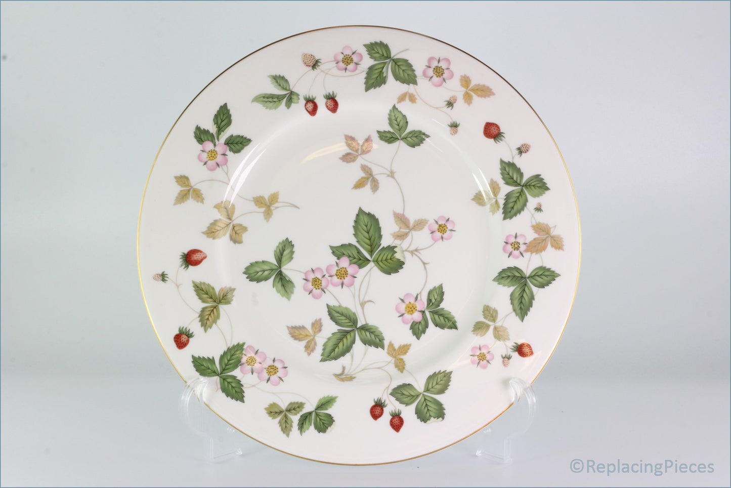 Wedgwood - Wild Strawberry - Dinner Plate