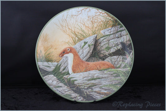 Royal Doulton - Rollinsons Portraits of Nature - A Stoat On The Alert
