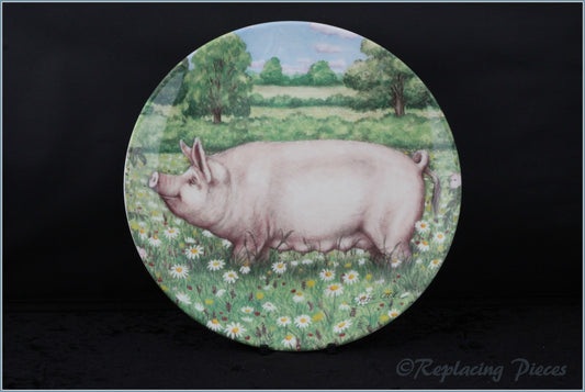 Royal Doulton - Pigs In Bloom - Daisy