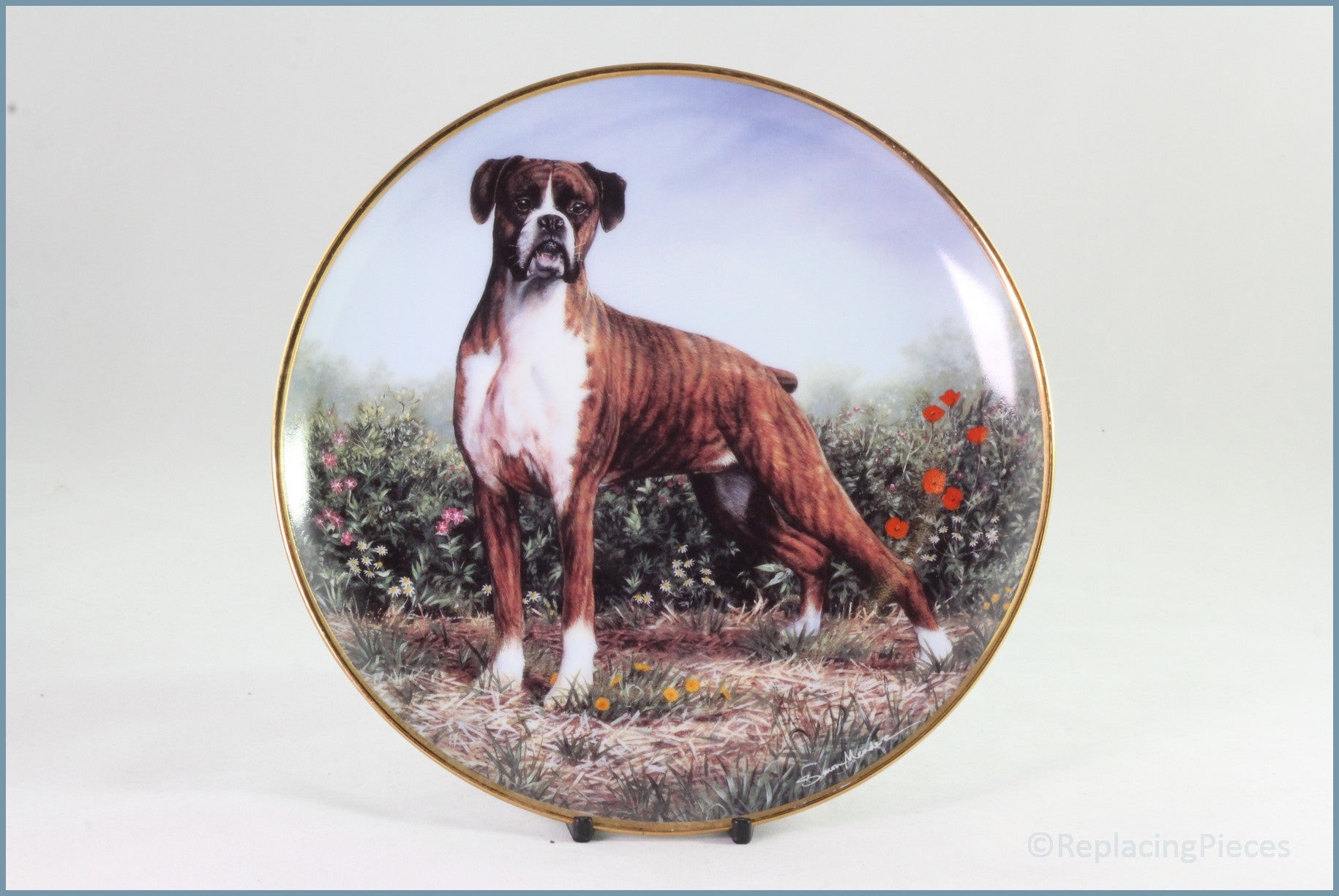 Danbury Mint - The Boxer - Standing Proud