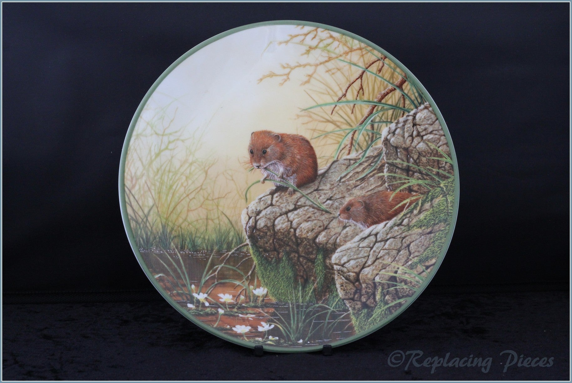 Royal Doulton - Rollinsons Portraits of Nature - Foraging Bank Voles