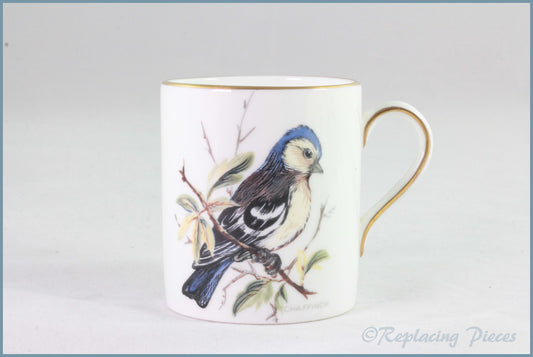 Hammersley - British Birds - Coffee Can (Chaffinch)