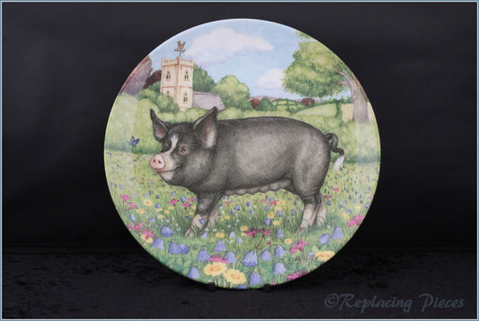 Royal Doulton - Pigs In Bloom - Harebell