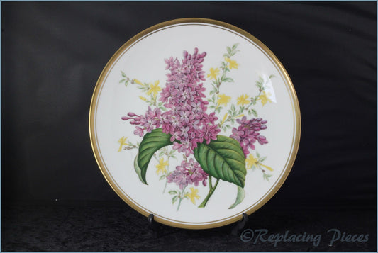 Spode - Garden Flowers - Lilac & Forsythia