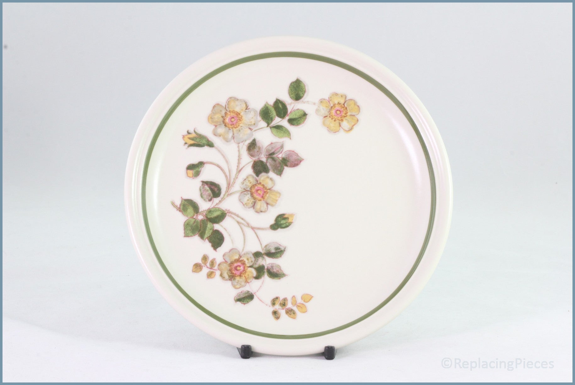 Marks & Spencer - Autumn Leaves - 8 1/2" Salad Plate