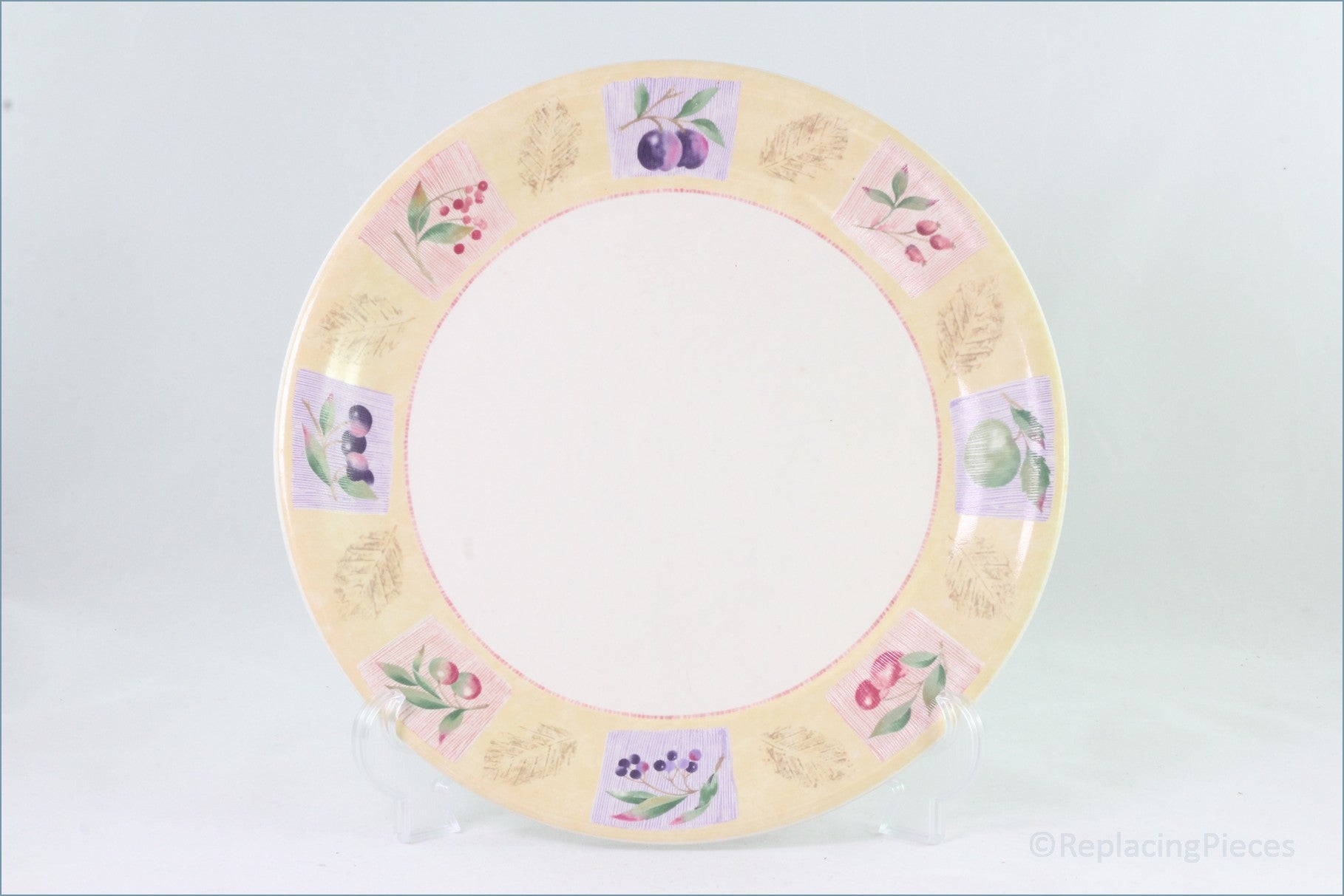 Marks & Spencer - Wild Fruits - Dinner Plate